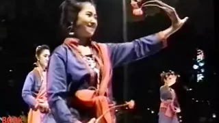 Lotus Asian Desires Vol. 2.