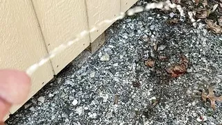 Pissing
