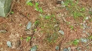 Naked and Jerking in a Random Driveway