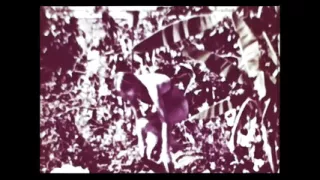 Vintage porn retro erotic theatre - wild sex 5