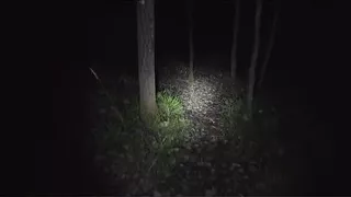 ????jungle mai mangal vali bhabhi beautiful wife was working in the kitchen, the husband came from behind and started having sex.