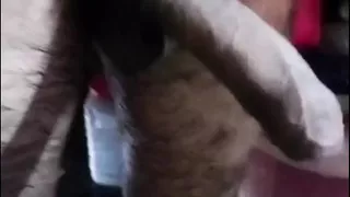 Stepsister ne loda dekha or dar gyi