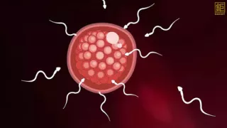 Bedroom Bounties a Fancy Hunt Watermarked