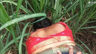 My Sexy Wife And I Hot In Sugarcane Field Indian Sex Video