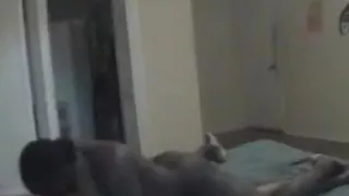 Rock Rockafella and Sincere Luv.m4v