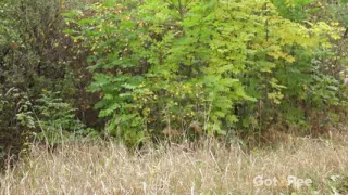 Seriously Concentrating by Got 2 Pee where girls come to piss