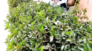 My happiness for you