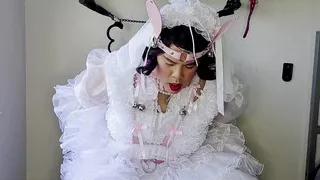 Sissy Bride Playing with Lots of Dildos