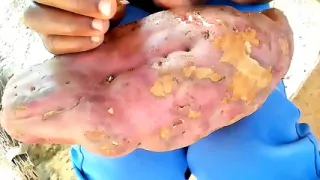 In our village kitchen