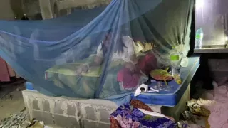 FN109 When I returned to my room to do the activity, I found something.EP2-2