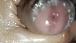 The Land Boat That I Have Is Very Expensive, the Nurse Is Very Expensive