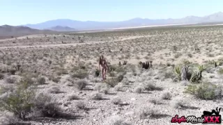 Cougar Sofie Marie tastes cum after sucking massive cock