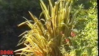 Barely Legal German Desires.