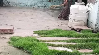 Outdoor walk:- sasur fucking her son's wife when she was walking outdoor