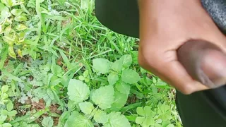 If an 18-year-old boy wants to suck someone while shaking hard land, message in the comment