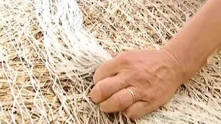 German granny fucked hard in nature