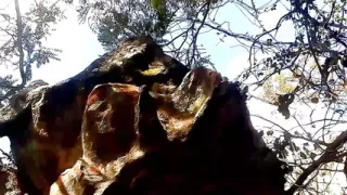 Lovely honey in A village mountain