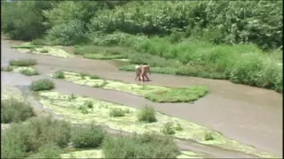 Audrey Rocks - Episode 6