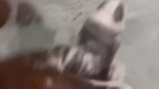 In the showers getting off