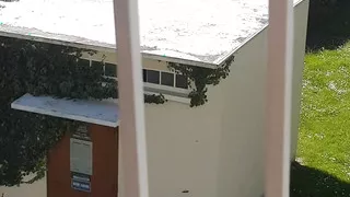 in the middle of????a heat wave, 24 hours with a transvestite whore. VaneSsaBiTCHx PariSChienneTrvProd⁹&sup1;