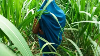 Desi bhabhi ki chudai mouth and gand in sugarcane field in Indian porn video