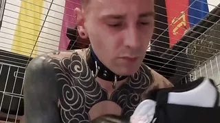 Day 13 of Chastity - Obeying Master Like a Good Sock-Sniffing Puppy