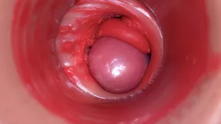 Inside a Camgirl Cervix POV Camera in Vagina with big dick toy