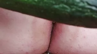 Vegetables as dildos