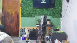 Lining up for Tortillas