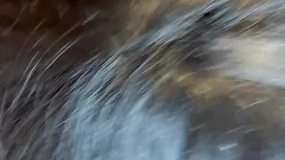 Amateur Crossdresser Blowjob