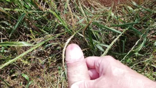 Jerking off outdoors