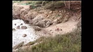 Best of Kelly Trump - Episode 11