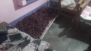 Wife's aunt was jammed and left