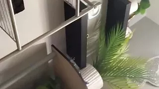 suck that dick now let me bust a nut in your ass guys but you have to pay me or fuck me off