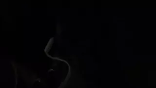 Me Bored Asf Doing Dumb Ass Shit