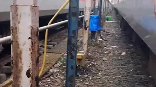 TRAIN TOILET College girl have sex with step brother Xxx , Desi Village Doggy style rough hardcore College girl tight pussy sex