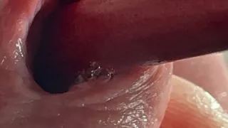 Penis Hole Masturbating