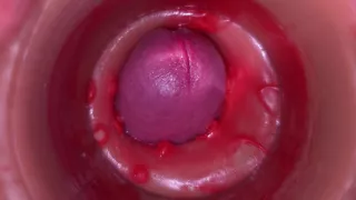 Camera in Vagina, Cervix POV, Creampie 4K
