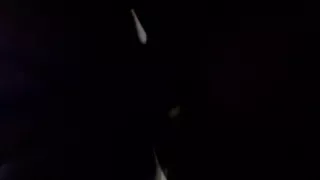 Doggystyle with camera under view