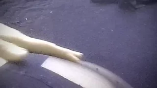 while looking porn - He plays