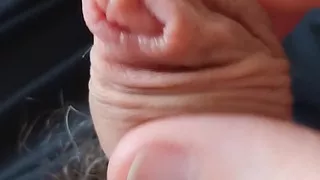 Sissy's Gorgeous Cream