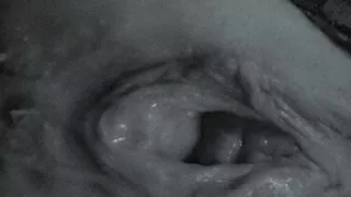 Ultimate Babe Squirting