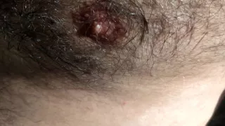 Furry handjob, naughty bear outdoors in nature