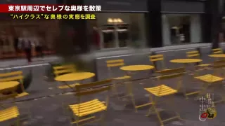 0009254_着衣sex おもちゃ責め 人妻などが含まれている