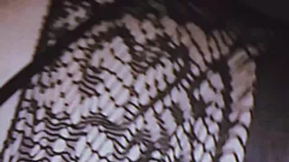 "From the Bed to the Couch: Years of Uncensored Home Pleasure (2018-2023)"