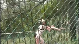 Kinky Neighbors: Pissing, Submission, Blowjobs, and Backyard Sex