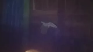 His little secret with me.