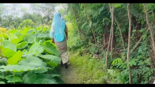 Today sister-in-law fucked in the fields and drained the water