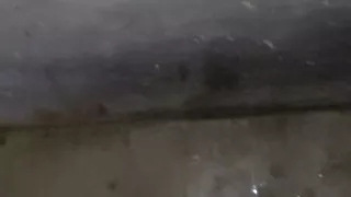 Bathroom morning time Masturbation  small  dick dance