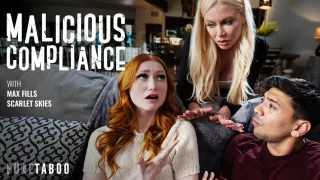 Malicious Compliance